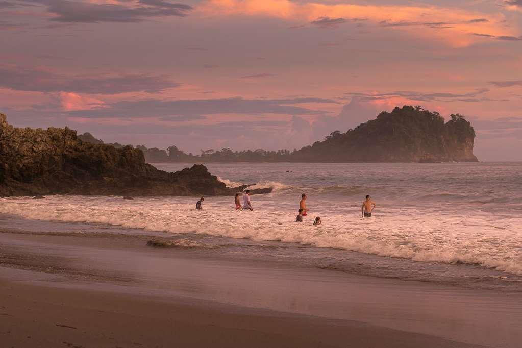 Arenas Del Mar Beachfront And Rain Forest Resort Costa Rica Facilities photo